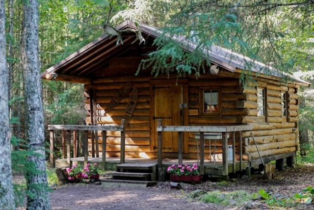 Hope Alaska'S Bear Creek Lodge Eksteriør billede