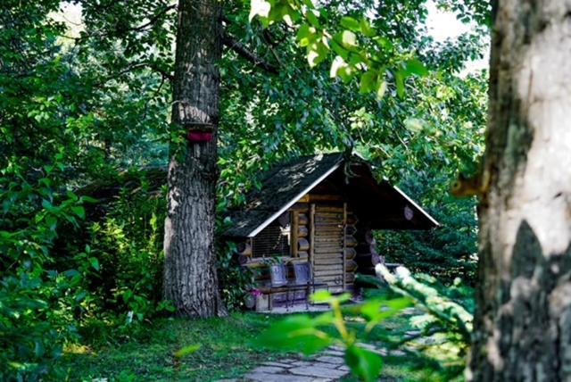 Hope Alaska'S Bear Creek Lodge Eksteriør billede