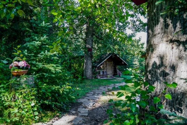 Hope Alaska'S Bear Creek Lodge Eksteriør billede